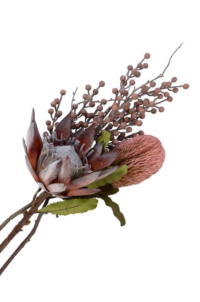 Штучні квіти House Nordic King Protea Bouquet колір барвистий (3677750)